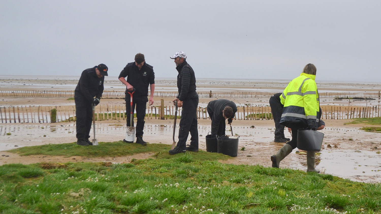Royal Dornoch Salt Marsh project